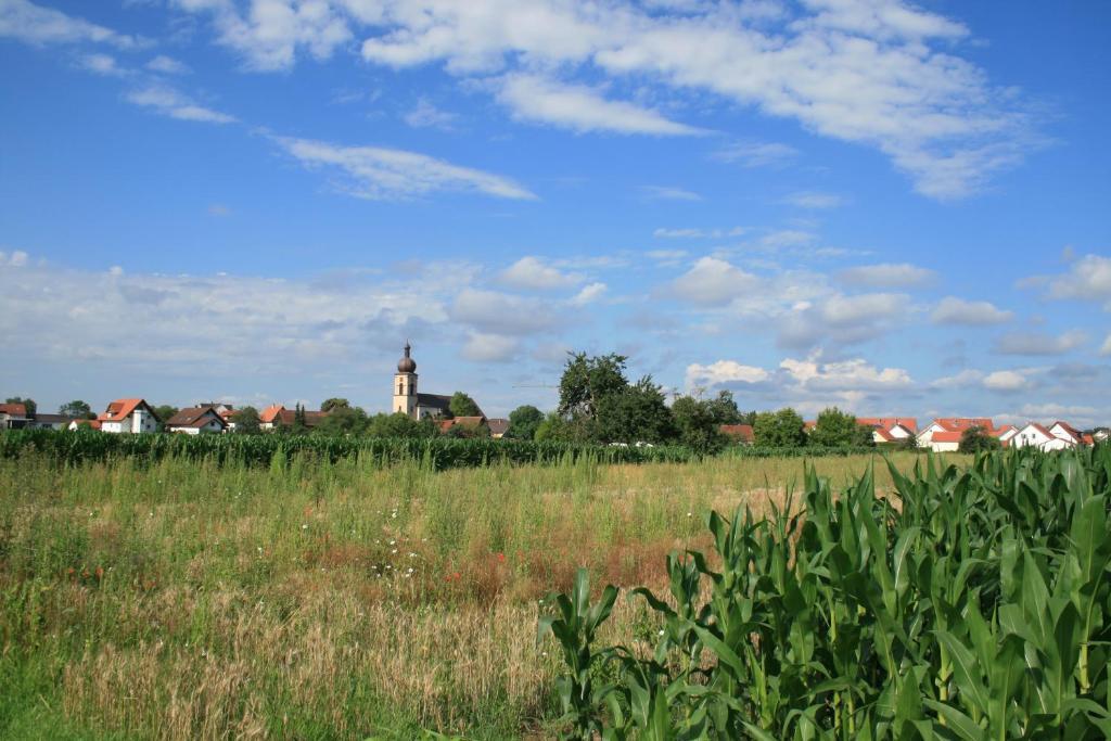 Odas Feriendomizil Europapark Kappel-Grafenhausen Kültér fotó